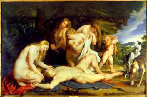 Adonis Wound