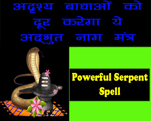 Names of 9 powerful naga, Navnag strot, serpent spell to make life successful, Remedies of health issues, solution of debt problem, malefic rahu and ketu remedies.