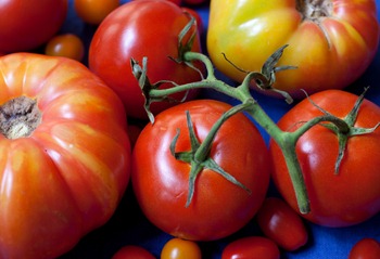 2012 Aug 08_WFM tomatoes '12_3021_edited-1