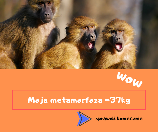 https://wojtstyl.pl/moja-metamorfoza/