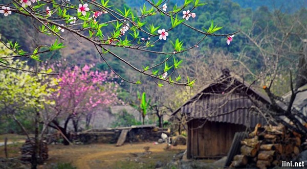 thơ mùa xuân về hay