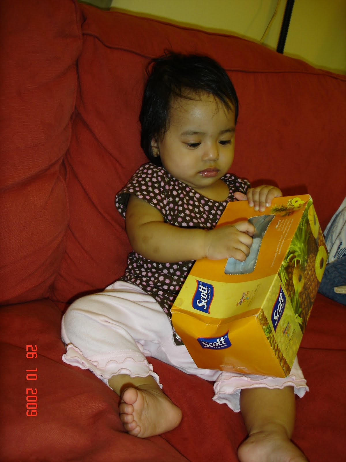 Paths we choose: anak digigit nyamuk
