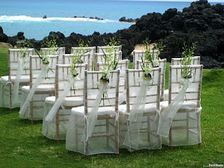 Wedding Chairs Decorated with ribbons and flowers