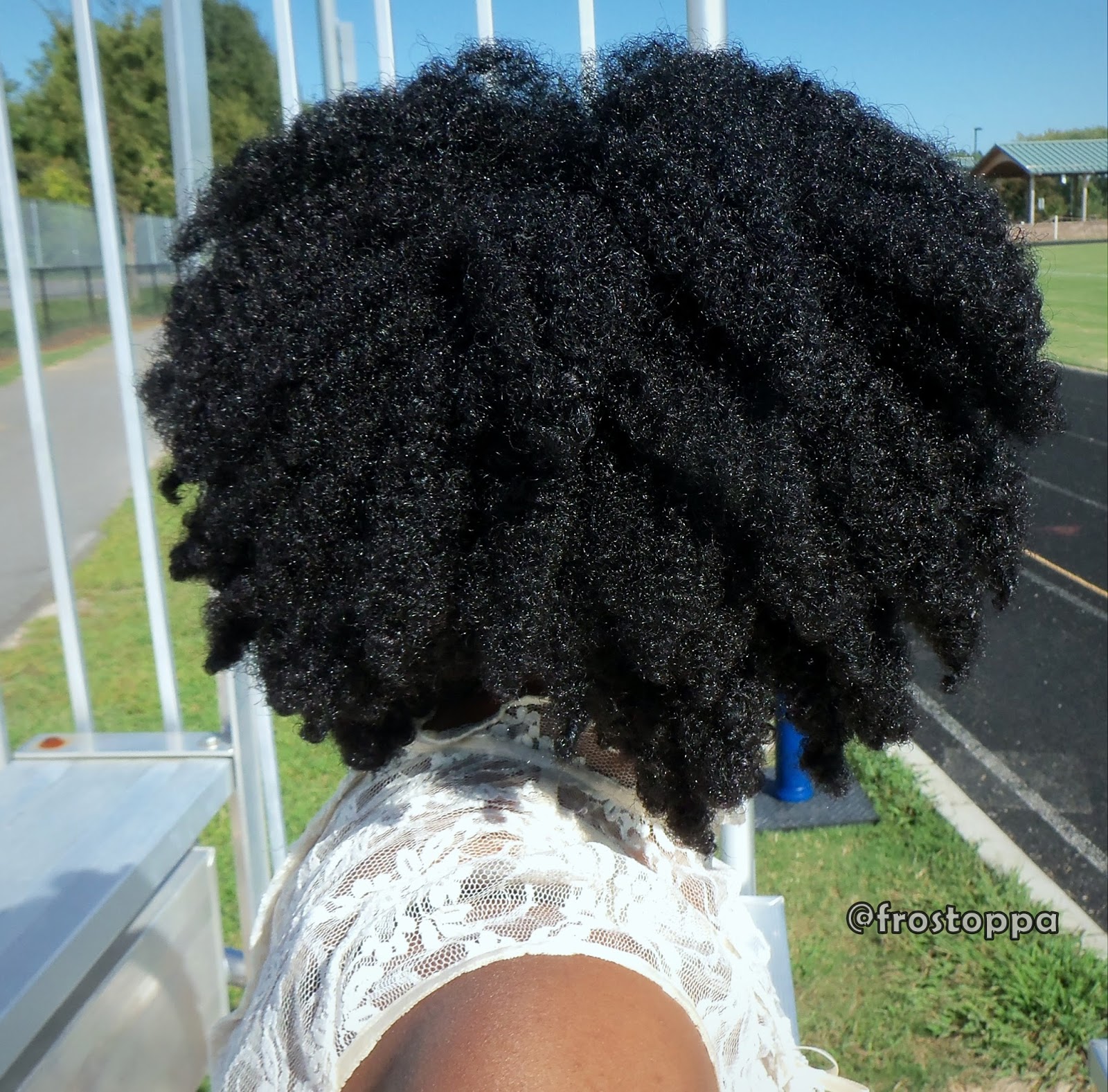 FroStoppa Ms Ggs Natural Hair Journey And Natural Hair Blog How