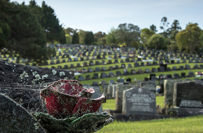 Protestant Berms A Waikumete Cemetery, Glen Eden, Auckland, New Zealand. Photo: Cathy Currie, Discover Waikumete Cemetery