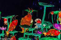 Chinese lanterns in shapes of koi and lotus flowers