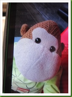 Monkey selfie..