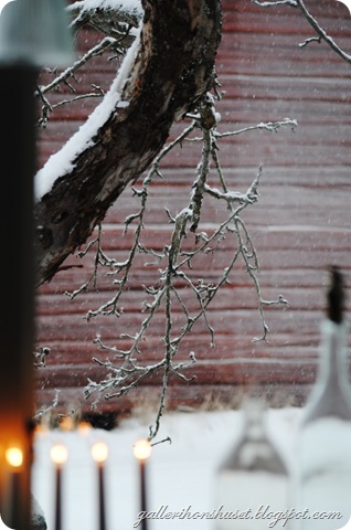 vinter hemma 2010 022