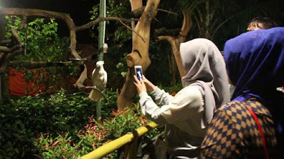 Wisata Malam di Kebun Binatang Purbalingga