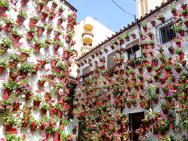 Patios de Córdoba