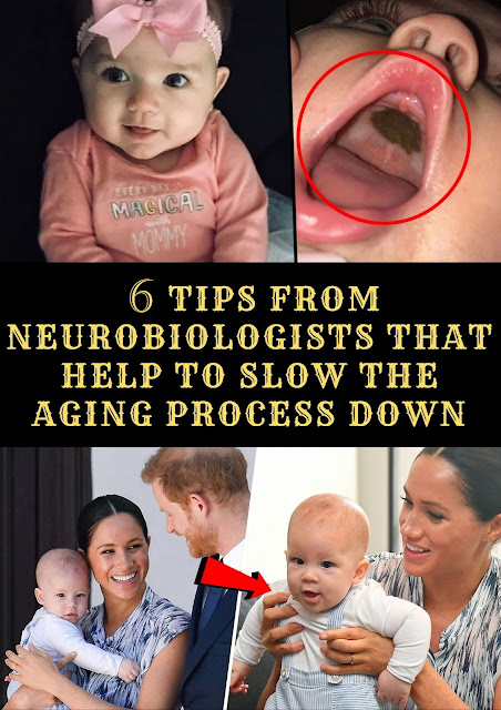 6 Tips From Neurobiologists That Help to Slow the Aging Process Down