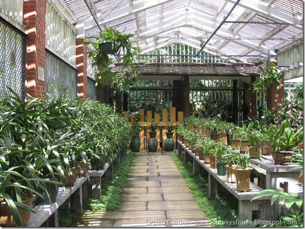 Orchid Garden (14)