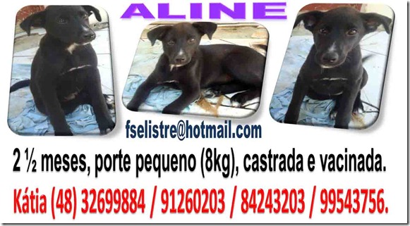 aline