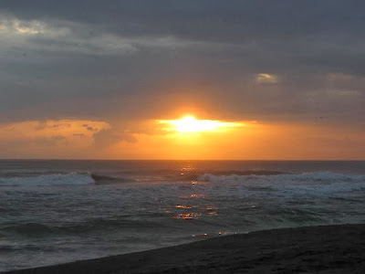 Playa Gandoca, Limón