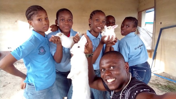 Rabbit Farming as a Business /gbojom tips for Breeding Rabbits