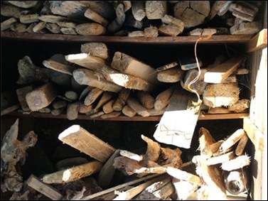 driftwood