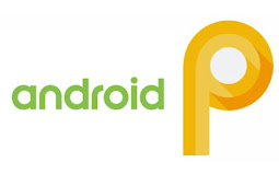 Google Lunches Android P