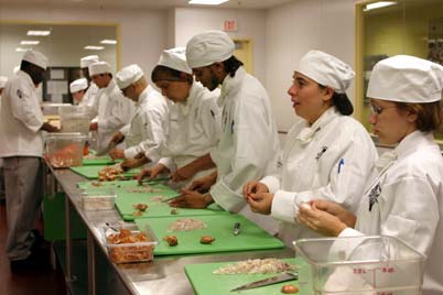 Schools For Culinary Arts