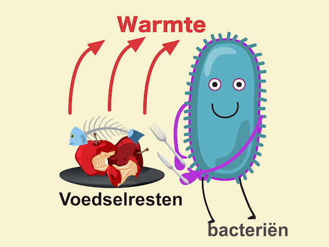 Wanneer compost, bacterieactiviteiten de compost opwarmen, voegt iComposteur gewoon wat warmte toe om het 70 graden Celsius te houden. De gunstige temperatuur voor thermofiele bacteriën