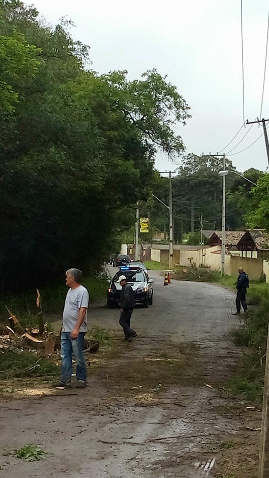 Guarda Municipal auxilia Secretária de Meio Ambiente