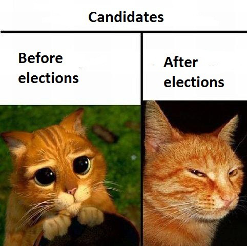 Candidates - Before And After Elections