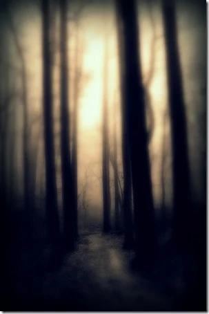 © Allan Cabrera dreaming