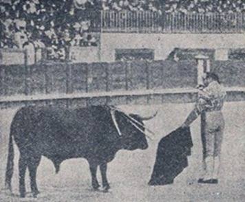 Mazzantini entrando a matar 1º toro inauguracion San Sebastian 001_thumb[1]