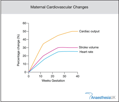 Absorb Medicine: Cardiovascular Changes during Pregnancy