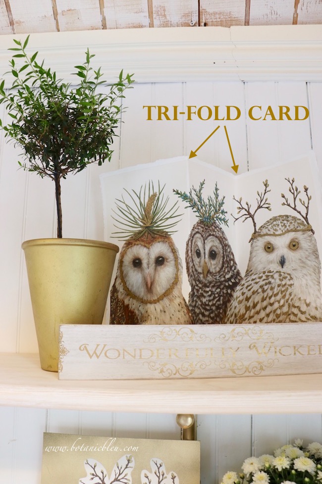 Owl paper placemat makes a stunning tri-fold card for Halloween