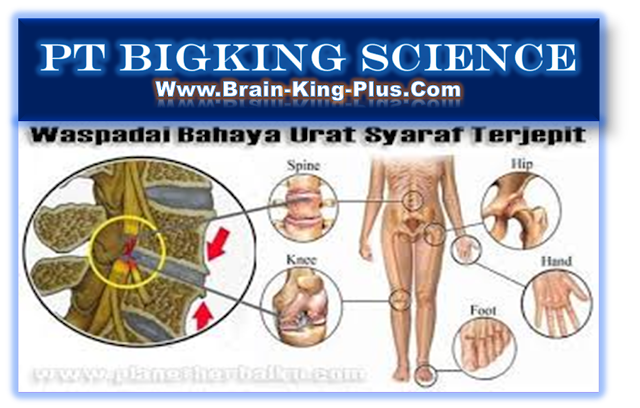 Brainking Plus 08123 01 8900 