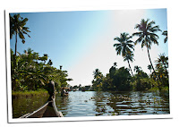 Backwaters in Allapey