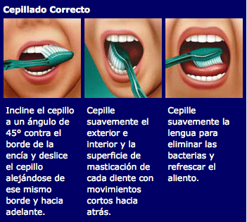 Cuida tu cepillo de dientes (Odontología)