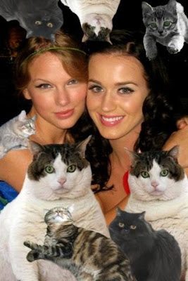 Taylor Swift and Cats Hot Photo