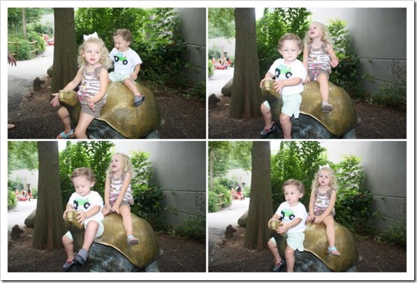 Zoo 7.11