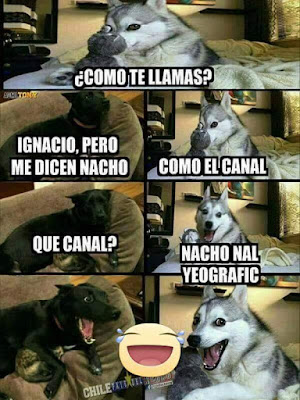 Cómo te llamas? , Ignacio, pero me dicen Nacho, como el canal, qué canal?, Nacho nal geografic