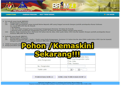 Permohonan/Update Online BR1M 2.0 / Skim Individu Bujang 