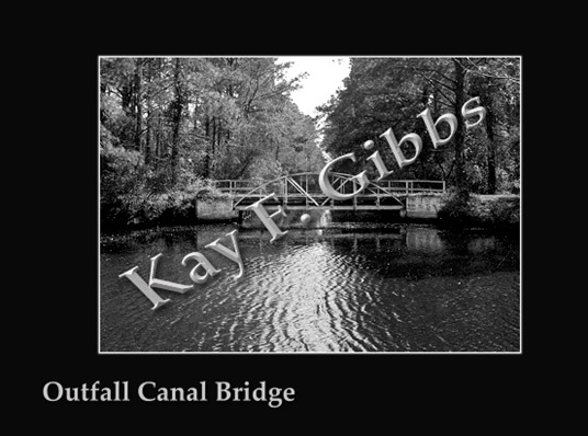 Copy of COPY OF BRIDGE AT LAKE MATTAMUSKEET