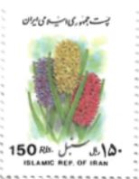 Selo flores de Hyacinthus