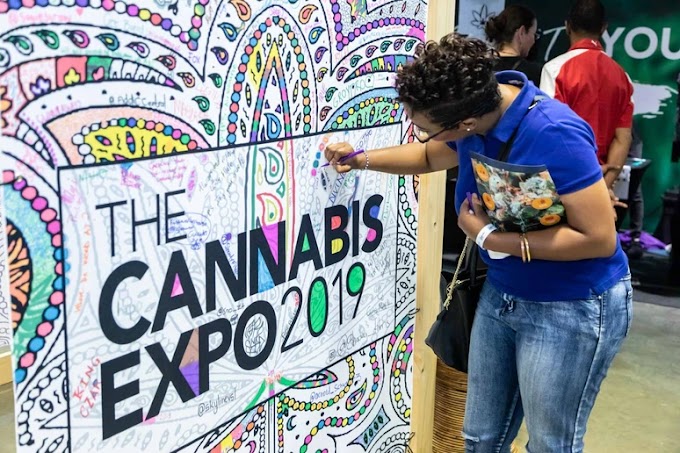 LLEGA A MÉXICO THE CANNABIS EXPO MEXICO, LA MÁS GRANDE CONVENCIÓN DE NEGOCIOS, PARA SER EL PUNTO DE ENCUENTRO DE EXPERTOS EN LA INDUSTRIA, GENERAR ALIANZAS Y CREAR NUEVOS MODELOS DE NEGOCIO