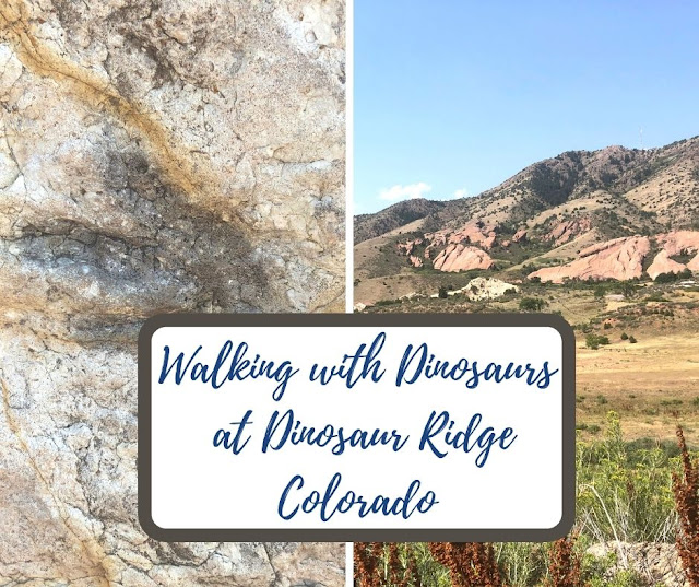 Walking with the Dinosaurs at Dinosaur Ridge  Viewing Fossils in Morrison, Colorado