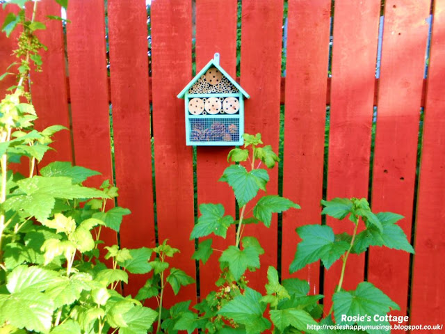 Finding smiles on a gratitude scavenger hunt: One of the tiny wildlife hotels waits for tiny guests to visit :) 