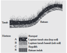 Tanah (Pedosfer) : Pengertian, Proses Pembentukan, Komposisi, Profil, Warna, Kesamaan, Tekstur, Struktur, dan Sistem Klasifikasi Tanah