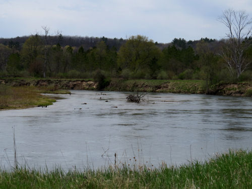 Manistee River