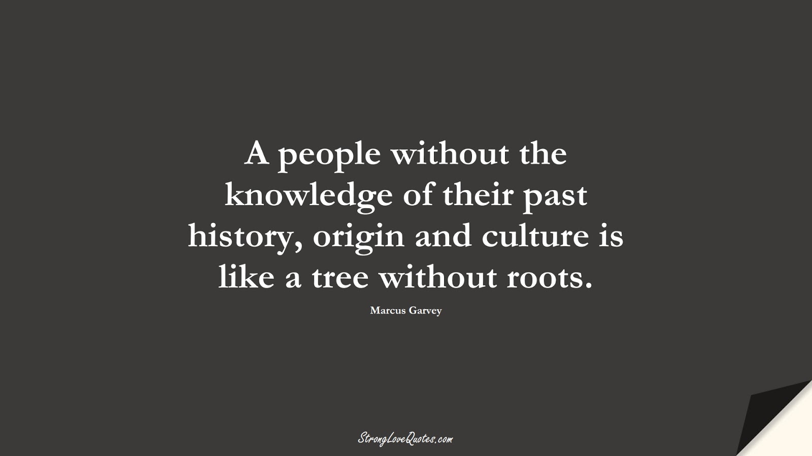 A people without the knowledge of their past history, origin and culture is like a tree without roots. (Marcus Garvey);  #KnowledgeQuotes