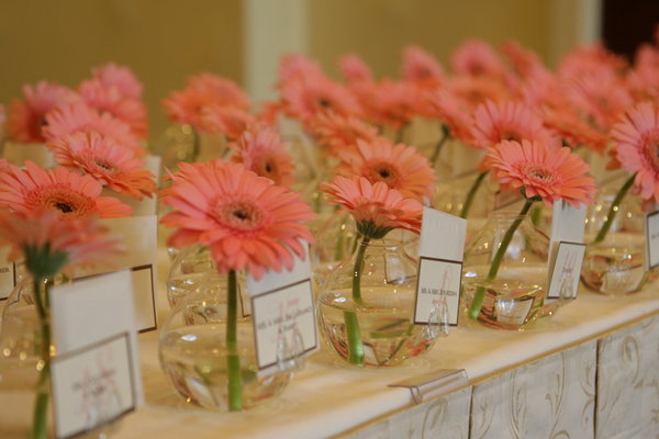  such as a peony or Gerbera Daisy in the water for easy elegance
