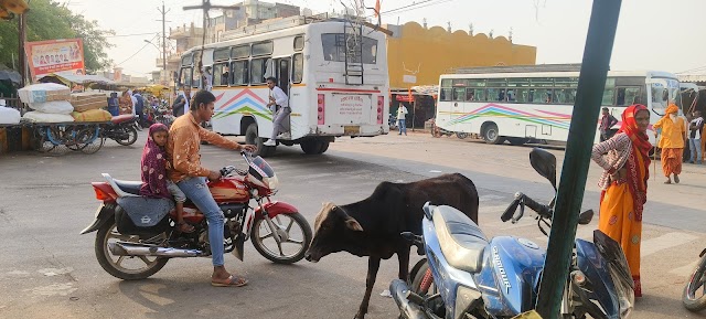 यात्री हो रहे परेशान:- पलेरा में सिर्फ नाम का बस स्टैंड, न बैठने काे कुर्सी और न पीने के लिए मिल रहा पानी 