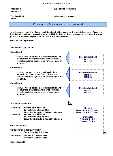 modelos de curriculums. El curriculums vitae Temático