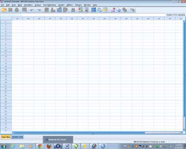 DATA ENTRY ~ Olah Data - Analisa Data SPSS