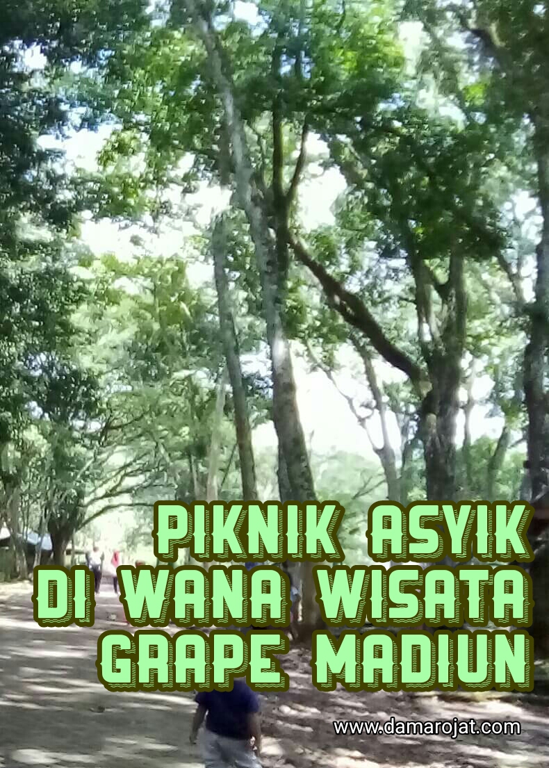 Piknik Asyik Di Wana Wisata Grape Madiun