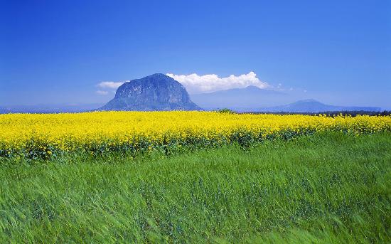 Jeju Korea Selatan.